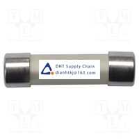 SCH?TZINGER_SICH 6.35X32 1000V 0.5 A DMI Original New Stock