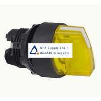 Key switches and selector switches Schneider Electric_ZB5AK1483