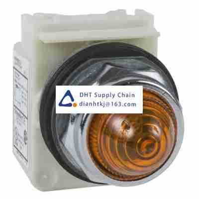 Pushbutton switches and components Schneider Electric_9001KP38LYA9