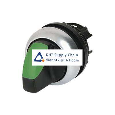 Key switches and selector switches Eaton_216816 M22-WLK-G