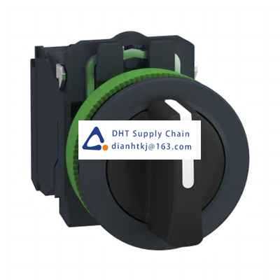 Key switches and selector switches Schneider Electric_XB5FD33