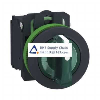Key switches and selector switches Schneider Electric_XB5FK133B5