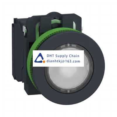 Pushbutton switches and components Schneider Electric_XB5FW31M5