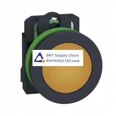 Pushbutton switches and components Schneider Electric_XB5FVG5