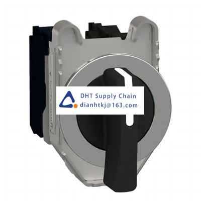 Key switches and selector switches Schneider Electric_XB4FJ53