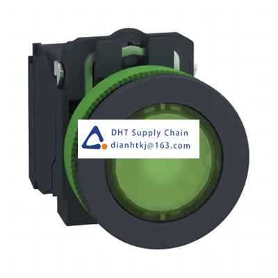 Pushbutton switches and components Schneider Electric_XB5FW33G5