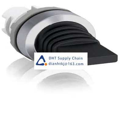 Toggle and slide switches ABB_1SFA611300R3006