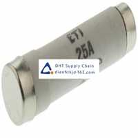  Fuses and Circuit Breakers ETI_2311207