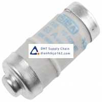  Fuses and Circuit Breakers SIBA_10-028-07/63A