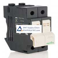  Fuses and Circuit Breakers Schneider Electric_DF101N