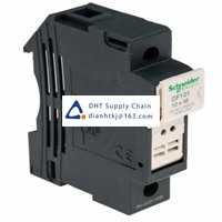  Fuses and Circuit Breakers Schneider Electric_DF101