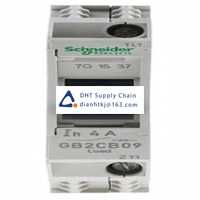 Fuses and Circuit Breakers Schneider Electric_GB2CB09