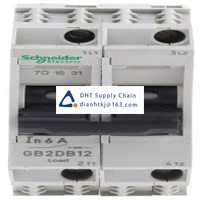  Fuses and Circuit Breakers Schneider Electric_GB2DB12