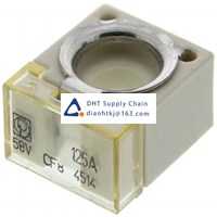  Fuses and Circuit Breakers Littelfuse_155.0892.6121