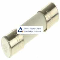  Fuses and Circuit Breakers Littelfuse_0216.100MXP