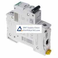  Fuses and Circuit Breakers Schneider Electric_A9F53101
