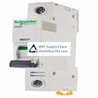  Fuses and Circuit Breakers Schneider Electric_A9F54110