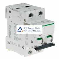  Fuses and Circuit Breakers Schneider Electric_A9F55204