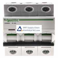  Fuses and Circuit Breakers Schneider Electric_A9F55304