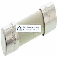  Fuses and Circuit Breakers Eaton_S505-3.15-R