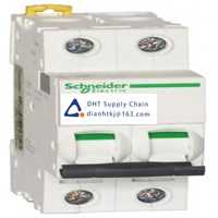  Fuses and Circuit Breakers Schneider Electric_A9F28101