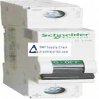  Fuses and Circuit Breakers Schneider Electric_A9N22062