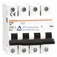  Fuses and Circuit Breakers Lovato_P1MB4PD25