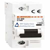  Fuses and Circuit Breakers Lovato_P2MB1PC100