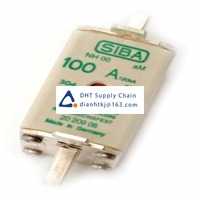  Fuses and Circuit Breakers SIBA_20-209-08/160A