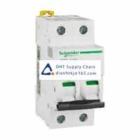  Fuses and Circuit Breakers Schneider Electric_A9F18225