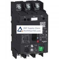  Fuses and Circuit Breakers Schneider Electric_GV4PEM50S6