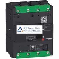  Fuses and Circuit Breakers Schneider Electric_LV426227