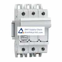  Fuses and Circuit Breakers Legrand_021404