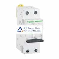  Fuses and Circuit Breakers Schneider Electric_A9D65225