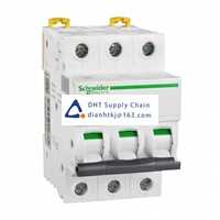  Fuses and Circuit Breakers Schneider Electric_A9F19303