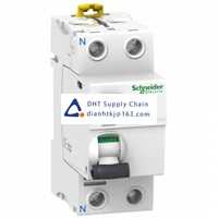  Fuses and Circuit Breakers Schneider Electric_A9R52263