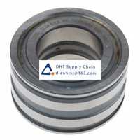 Bearings-seals INA_SL045006-PP