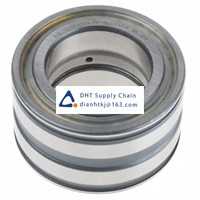 Bearings-seals INA_SL045009-PP