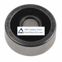 Bearings-seals INA_LR6062RSRHLW