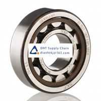 Bearings-seals SKF_NU 204 ECP/C3