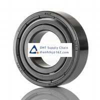 Bearings-seals SKF_6004-Z