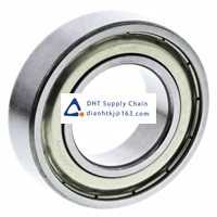 Bearings-seals NSK_6005ZZC3