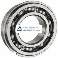 Bearings-seals SKF_6005 NR