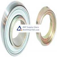 Bearings-seals INA_GRAE17-XL-NPP-B