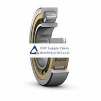 Bearings-seals SKF_NU 1038 ML/C3