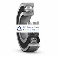 Bearings-seals SKF_6305-Z