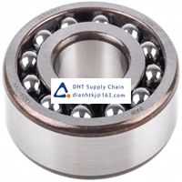 Bearings-seals FAG_1305-TVH-C3