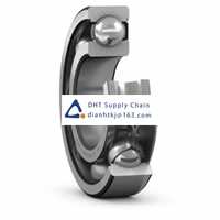 Bearings-seals SKF_6009-Z