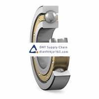Bearings-seals SKF_6036 M