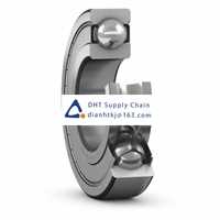 Bearings-seals SKF_619/4-2Z